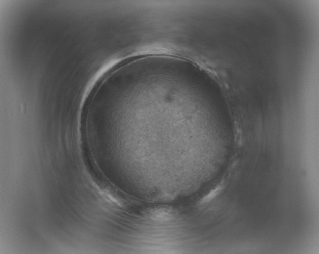 X0000061740200200512161659