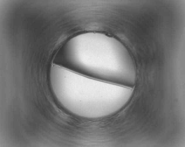 X0000061740201200512161659