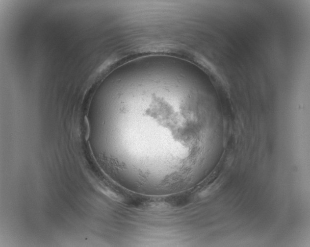 X0000061740203200512161659