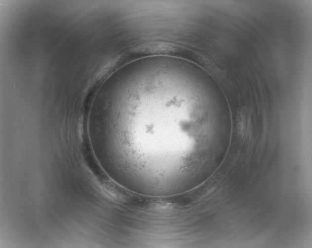 X0000061740206200512161659