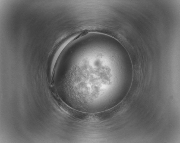 X0000061740207200512161659