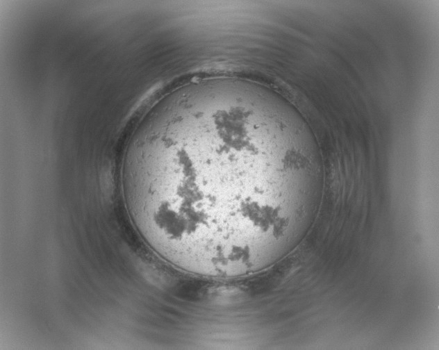 X0000061740208200512161659