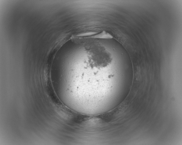 X0000061740210200512161658