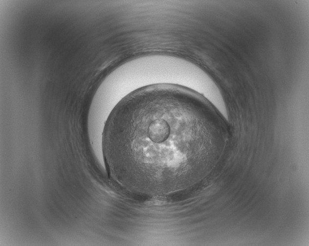 X0000061740211200512161658