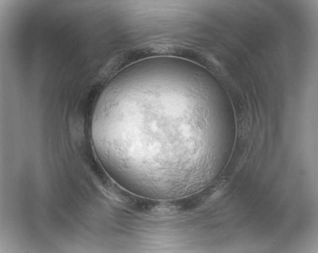 X0000061740213200512161658