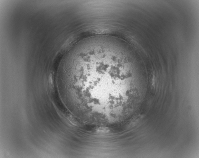 X0000061740214200512161658