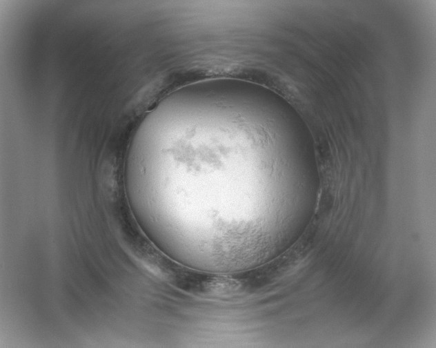 X0000061740215200512161658