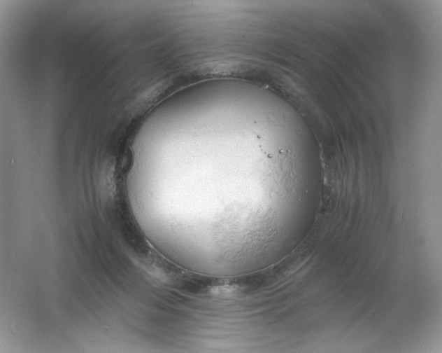 X0000061740216200512161658