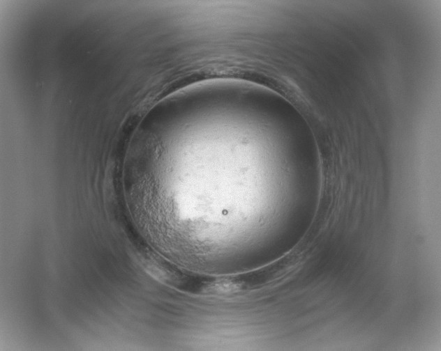 X0000061740217200512161658