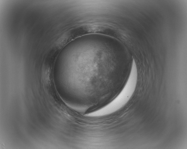 X0000061740219200512161658