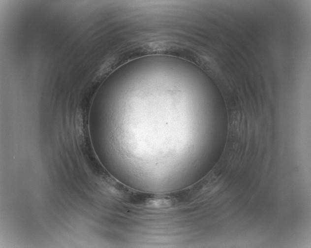 X0000061740220200512161658