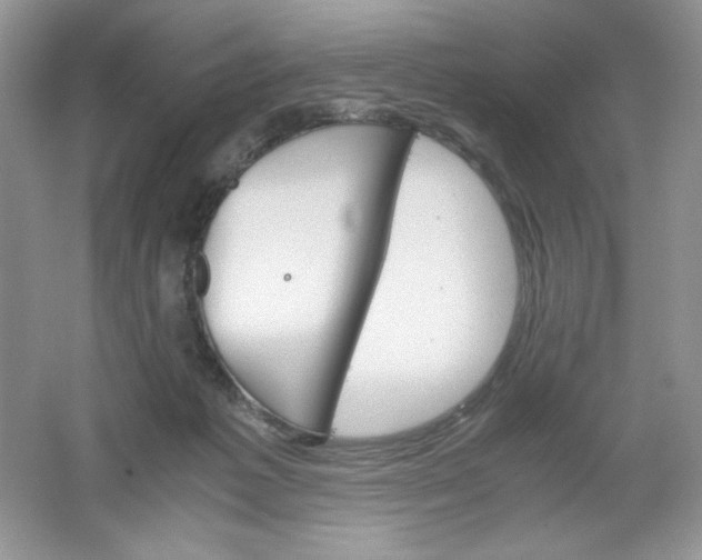 X0000061740221200512161658