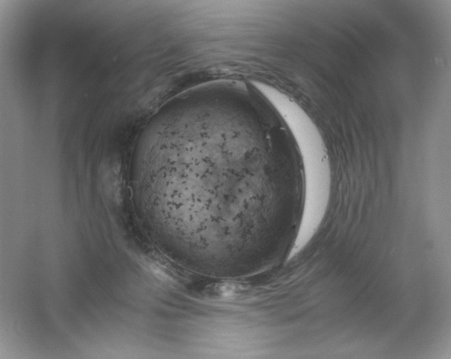 X0000061740223200512161658