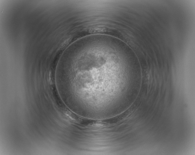 X0000061740224200512161658