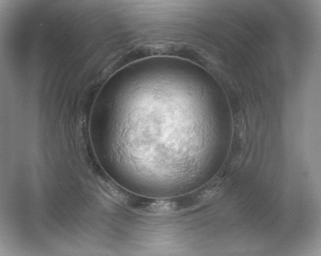 X0000061740225200512161658