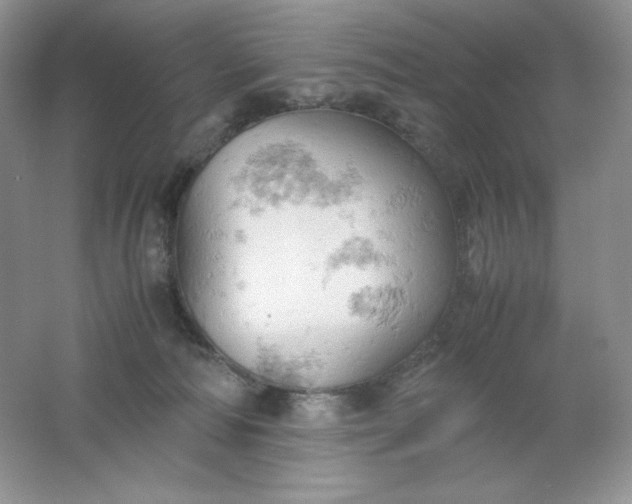 X0000061740226200512161658