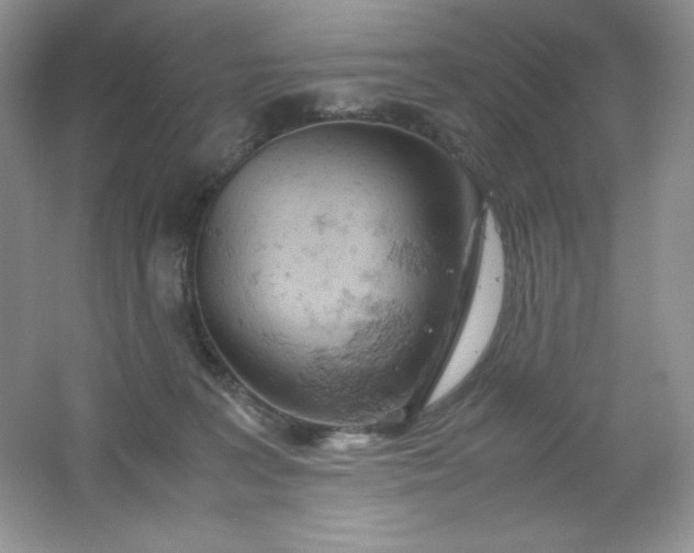 X0000061740227200512161658