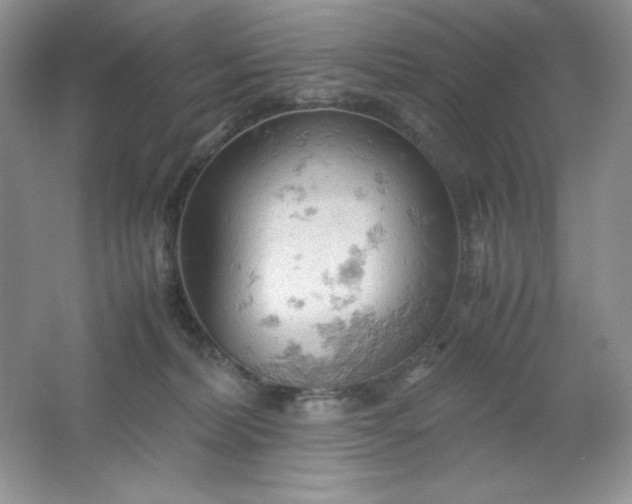 X0000061740228200512161658