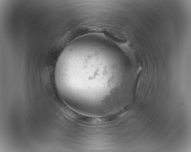 X0000061740229200512161658