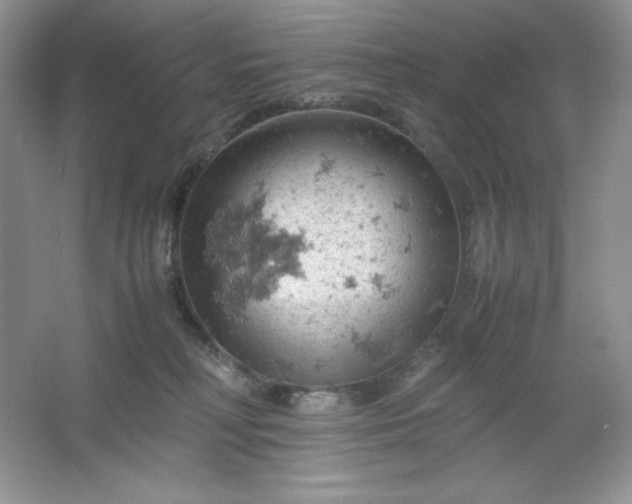 X0000061740230200512161658