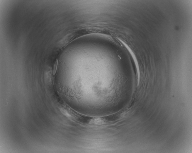 X0000061740231200512161658