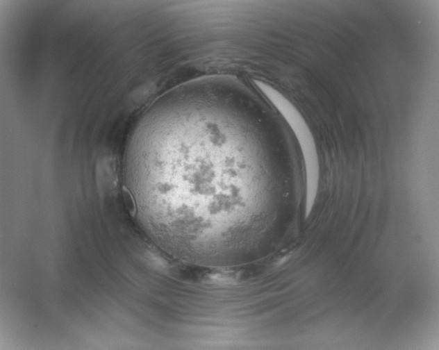 X0000061740232200512161658