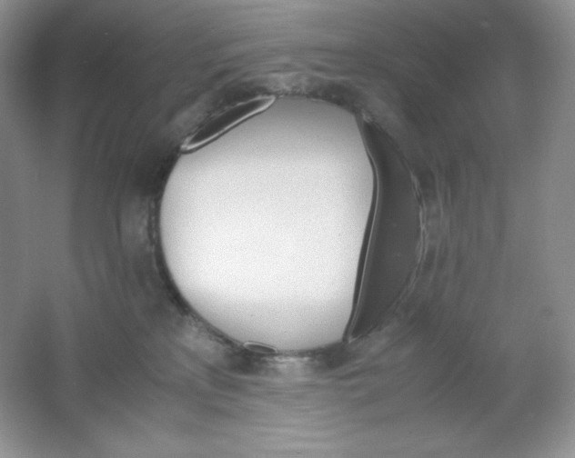 X0000061740233200512161658