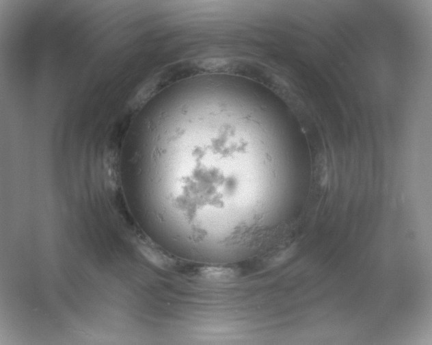 X0000061740234200512161658