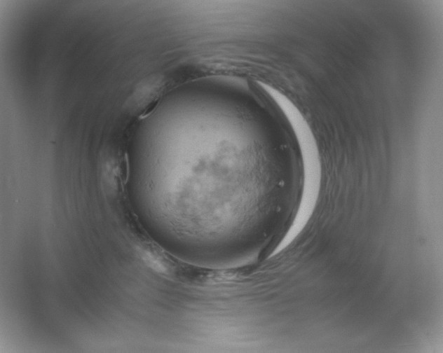 X0000061740235200512161658