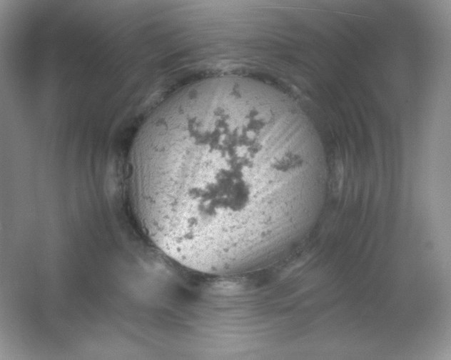 X0000061740236200512161658