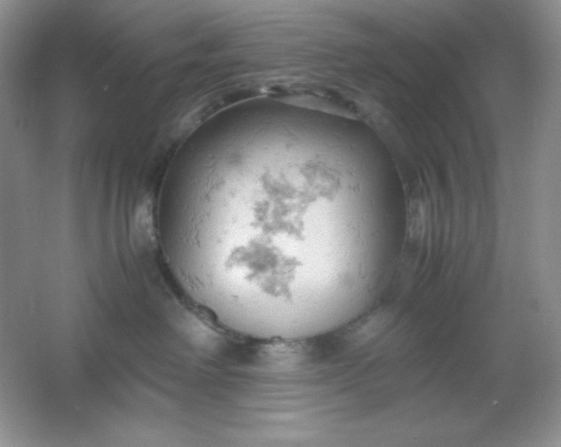 X0000061740238200512161658