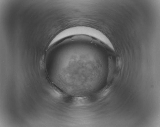 X0000061740239200512161658