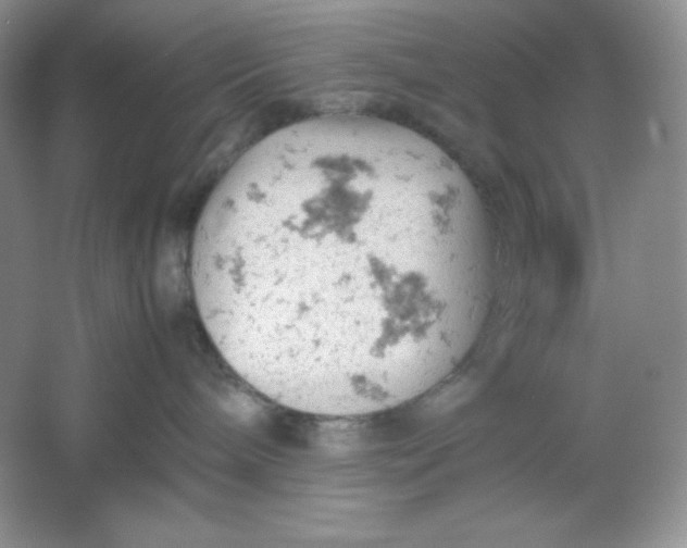 X0000061740240200512161658