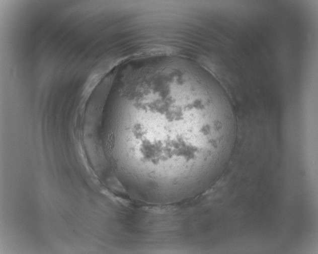 X0000061740241200512161657