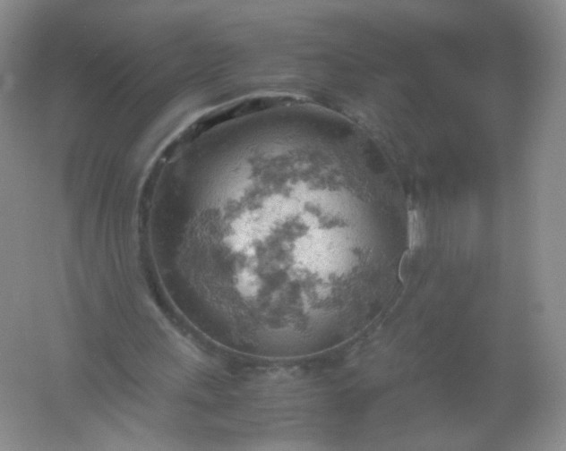 X0000061740243200512161657