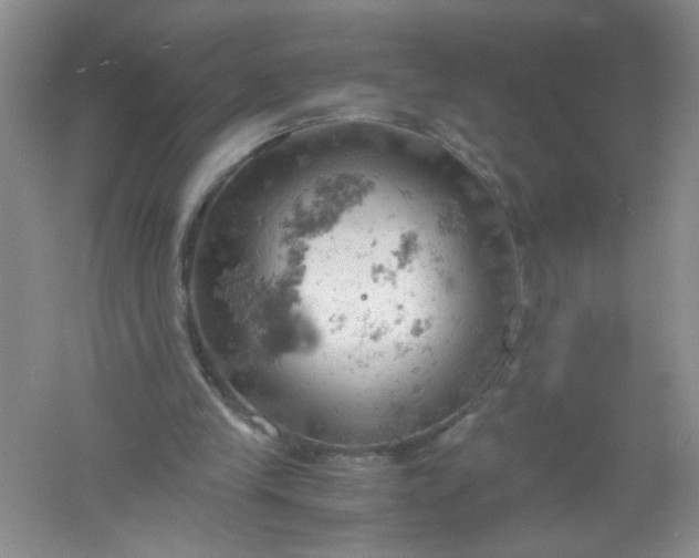 X0000061740245200512161657