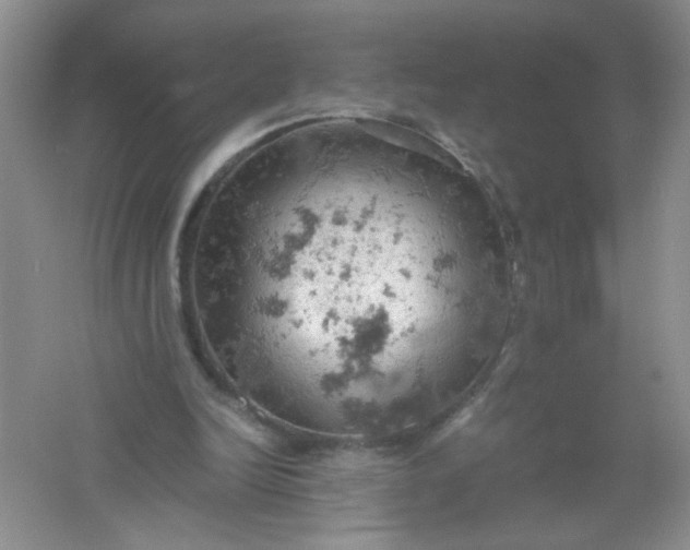 X0000061740246200512161657