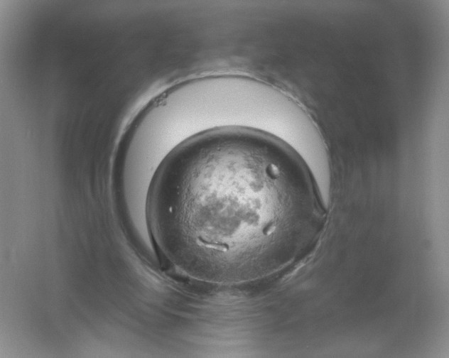 X0000061740248200512161657