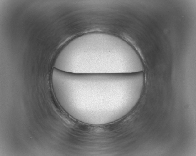 X0000061740249200512161657