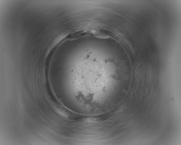 X0000061740250200512161657