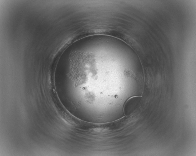 X0000061740251200512161657