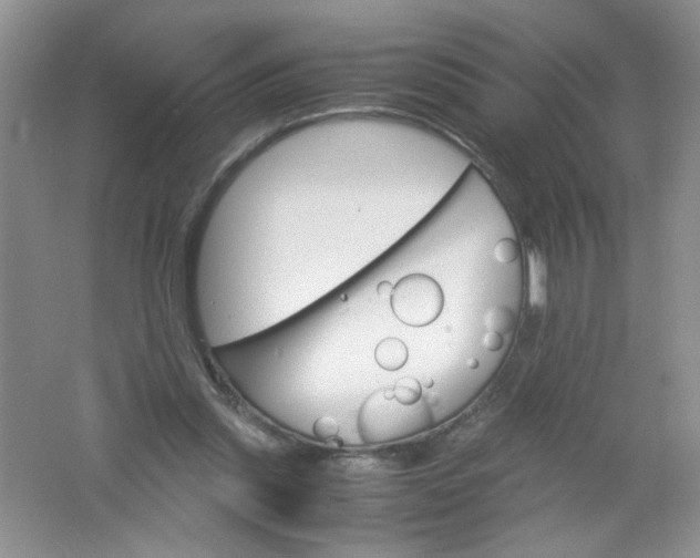 X0000061740253200512161657