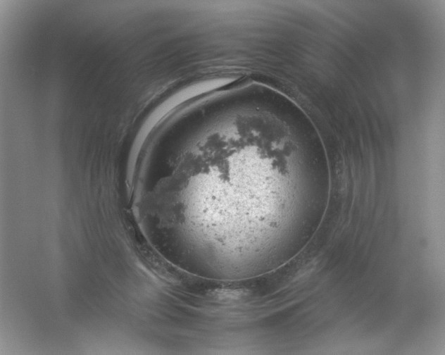 X0000061740255200512161657