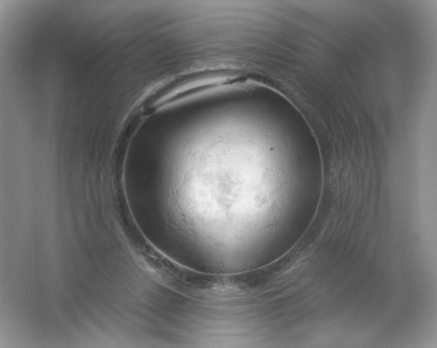 X0000061740256200512161657