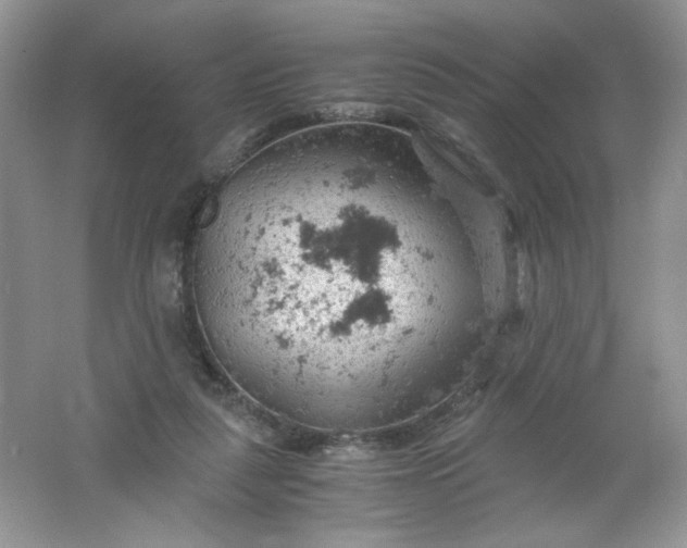 X0000061740259200512161657