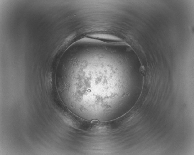 X0000061740260200512161657