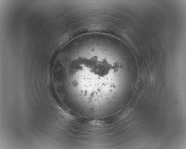 X0000061740261200512161657