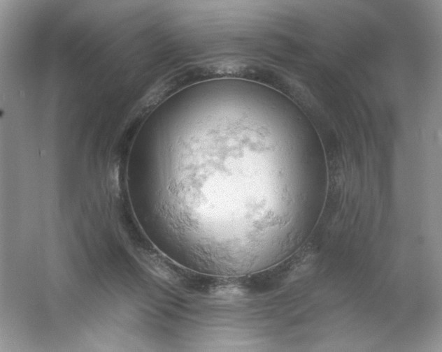 X0000061740262200512161657