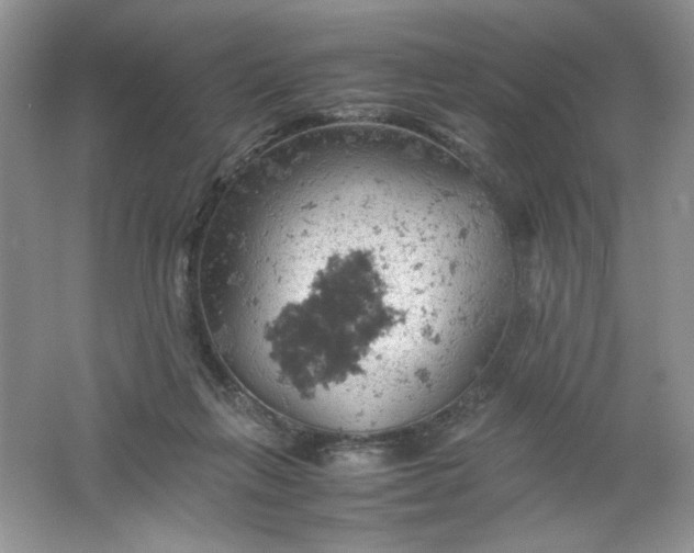 X0000061740263200512161657