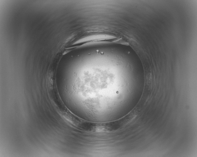 X0000061740264200512161657